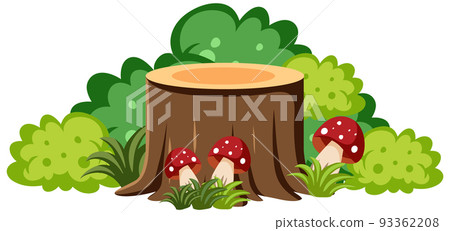 Isolated tree stump on white background 93362208
