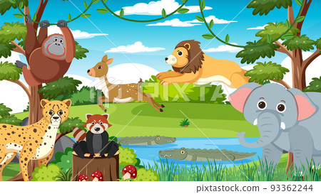Cute wild animals in the forest Cute wild animals in the forest 93362244