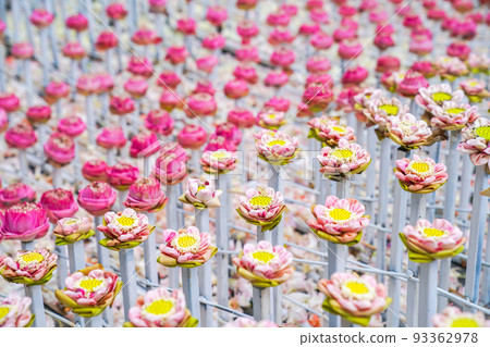 a lot fo pink and white lotus derate in flower event, for background or an idea for event and backdrop. a lot fo pink and white lotus derate in flower event, for background or an idea for event and backdrop. 93362978