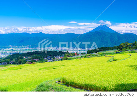 [Summer material] Mt.Fuji seen from terraced rice fields in Nakano [Yamanashi Prefecture] 93363760