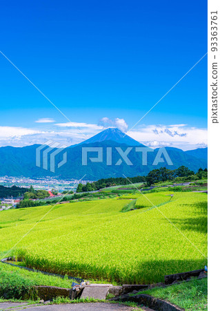 [Summer material] Mt.Fuji seen from terraced rice fields in Nakano [Yamanashi Prefecture] 93363761