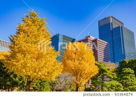 [Urban scenery of Tokyo] Around Marunouchi and ginkgo trees 93364874
