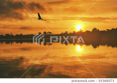 Beautiful sunset scenery of the unexplored Amazon River Beautiful sunset scenery of the unexplored Amazon River 93366073
