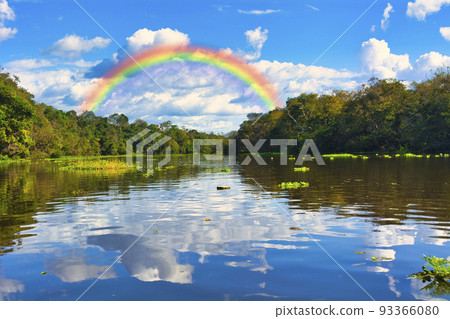 Amazing views of the unexplored Amazon River 93366080