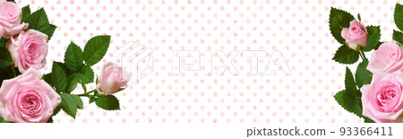 Pink rose flowers in corners on polka dot background 93366411