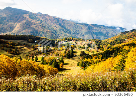 [長野縣志賀高原]10月紅葉鮮豔的“山田牧場” 93366490
