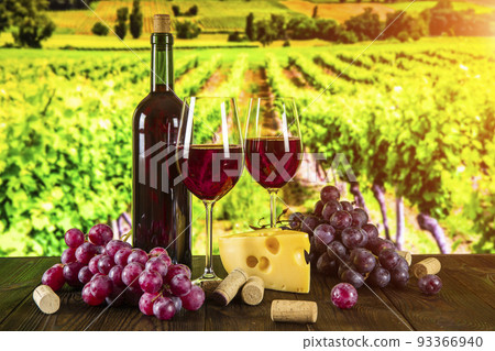 Bottle of wine, glasses, cheese and grapes on the background of the vineyard 93366940
