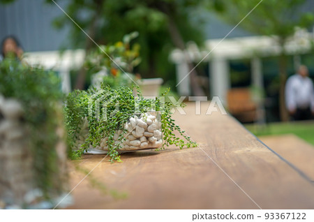 Decoration tree in the pot on the wood - steel tables in the garden. 93367122