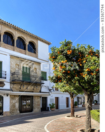 orange trees in Marbella 93367744