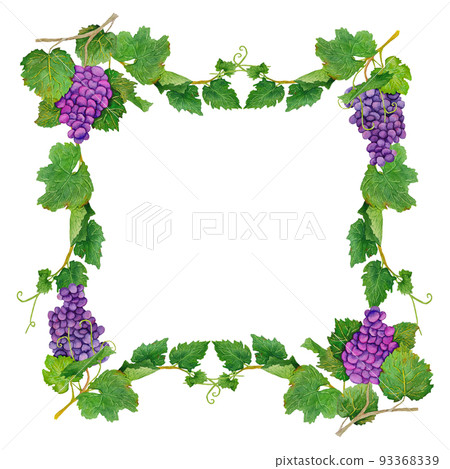 frame with grapevine 93368339