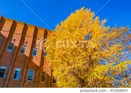 [Urban scenery of Tokyo] Urban scenery around Hibiya Park (Autumn) 93368663