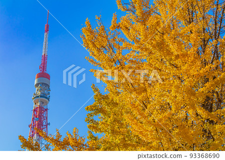 [Urban scenery of Tokyo] Urban scenery around Shiba Park (Autumn) 93368690