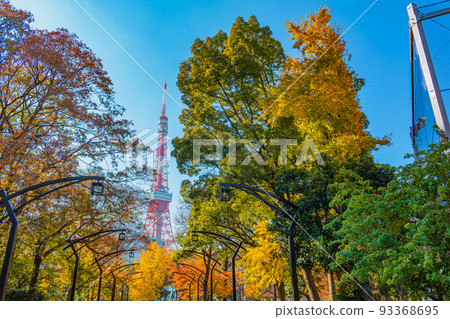 【東京都市風景】芝公園周邊都市風景(秋季) 【東京都市風景】芝公園周邊都市風景(秋季) 93368695
