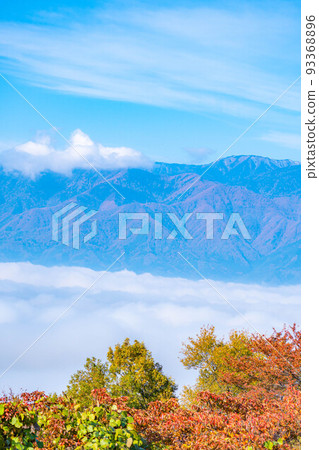[Autumn material] The sea of clouds at Matsumotodaira and the Northern Alps seen from Alps Park in autumn [Nagano Prefecture] 93368896