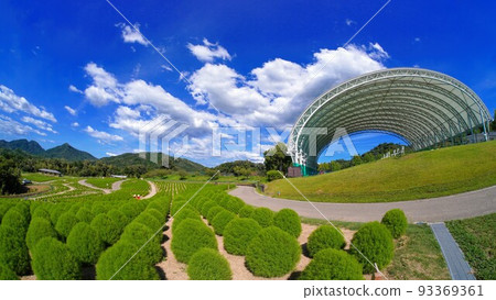 Sanuki Mannou National Government Park Flower Tour Hill Kochia Summer [Yoshino, Mannou Town, Nakatado District, Kagawa Prefecture] 2 93369361