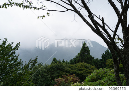 Mt. Hinode seen from Mitake-daira (Mt. Mitake) 93369553