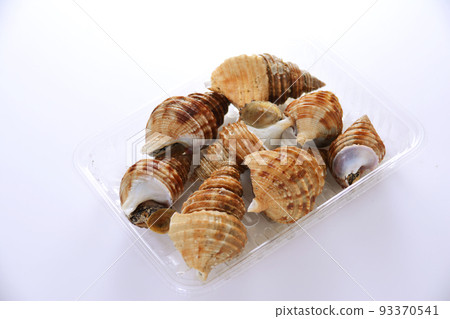 帶殼活貽貝 帶殼活貽貝 93370541