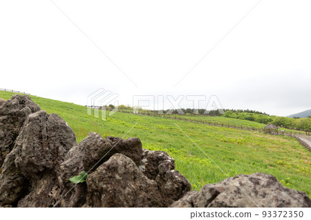 Sangumburi crater scenic landscape in Jeju island, Korea Sangumburi crater scenic landscape in Jeju island, Korea 93372350