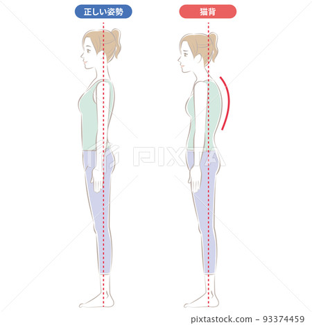 彎腰 彎腰 93374459