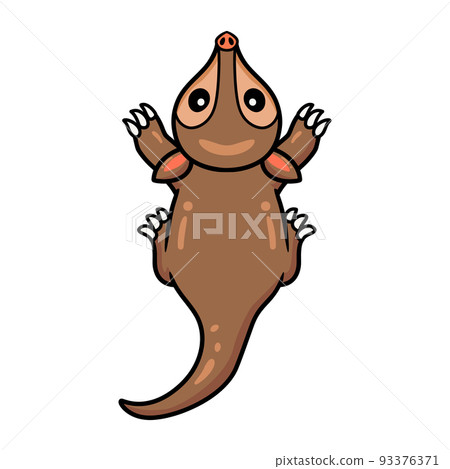 animal, anteater, bear 93376371