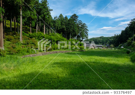 Kasumikyuryo Nature Park in early summer, Ome City, Tokyo 93376497