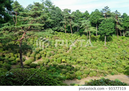 Shiofune Kannonji Temple in early summer, Ome City, Tokyo Shiofune Kannonji Temple in early summer, Ome City, Tokyo 93377319