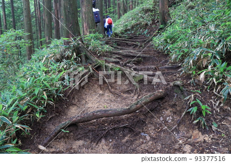 Take the Saragamine mountain trail 93377516