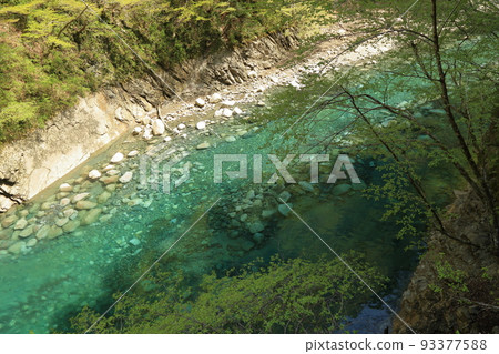 Yushin Valley 的 Yushin Blue(黑倉大壩 2017 年 4 月,神奈川縣山北町) Yushin Valley 的 Yushin Blue(黑倉大壩 2017 年 4 月,神奈川縣山北町) 93377588