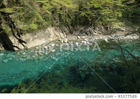 Yushin Valley 的 Yushin Blue(黑倉大壩 2017 年 4 月,神奈川縣山北町) Yushin Valley 的 Yushin Blue(黑倉大壩 2017 年 4 月,神奈川縣山北町) 93377589
