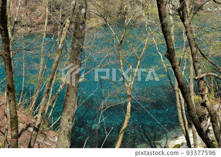 Yushin Valley的Yushin Blue（Kumaki Dam 2017年4月，神奈川縣山北町） 93377596
