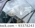 Dog is left alone in a locked car. Leaving pets locked in cars is never safe. Danger of overheating or hypothermia. Negligence of the owner and a threat to health 93378243