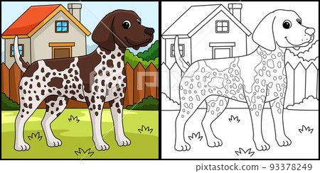 German Shorthaired Pointer Dog Coloring Page 93378249
