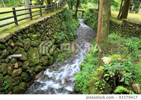 Walking around Saigoku Kannon Sacred Site 12 (Tanigumi, Ibigawa-cho, Ibi-gun, Gifu Prefecture: Tanigumisan Kegonji Temple) Walking around Saigoku Kannon Sacred Site 12 (Tanigumi, Ibigawa-cho, Ibi-gun, Gifu Prefecture: Tanigumisan Kegonji Temple) 93379417