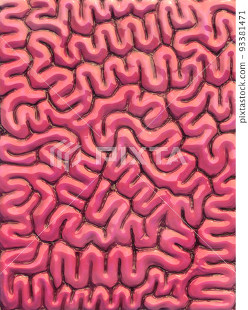 Kunekune, sea urchin, undulation, internal organs, brain, writhing, pink, red Kunekune, sea urchin, undulation, internal organs, brain, writhing, pink, red 93381471