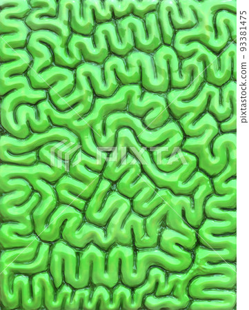 Kunekune, sea urchin, undulation, plant, cell Kunekune, sea urchin, undulation, plant, cell 93381475