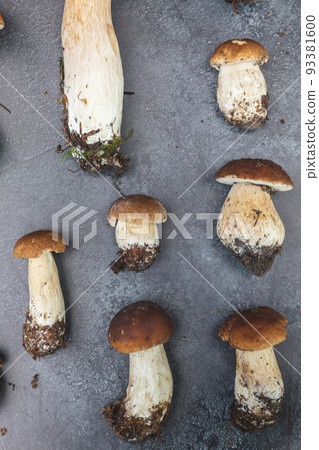Autumn fall composition. Raw edible mushrooms Penny Bun on dark black stone shale background. Ceps over gray table. Cooking delicious organic mushroom gourmet food. Flat lay top view 93381600