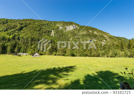 Old Wooden Barns on a Green Meadow - Triglav National Park Slovenia Old Wooden Barns on a Green Meadow - Triglav National Park Slovenia 93381725