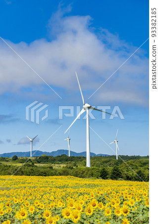 Nunobiki Kogen in summer Sunflowers in full bloom and windmills Koriyama City, Fukushima Prefecture Nunobiki Kogen in summer Sunflowers in full bloom and windmills Koriyama City, Fukushima Prefecture 93382185