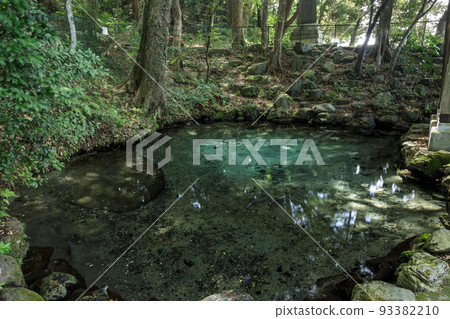 Izumigamori in the precincts is a spring on the side of Itsukushima Shrine in Ibaraki Hyakkei. Izumigamori in the precincts is a spring on the side of Itsukushima Shrine in Ibaraki Hyakkei. 93382210
