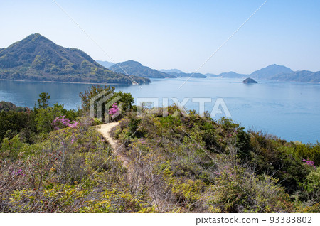 廣島縣竹原市忠海町奧之島(毒氣島/兔子島)山路和瀨戶內海360度全景 廣島縣竹原市忠海町奧之島(毒氣島/兔子島)山路和瀨戶內海360度全景 93383802
