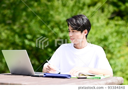student studying in the park student studying in the park 93384848