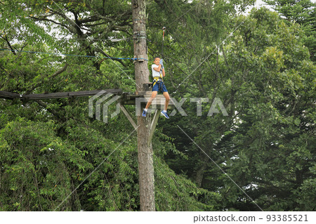Male junior high school student (12 years old) playing on an athletic zip line on a tree Male junior high school student (12 years old) playing on an athletic zip line on a tree 93385521