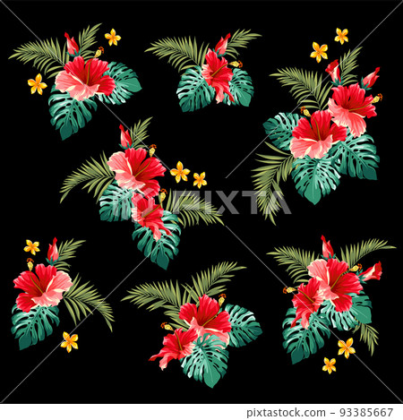 美麗的熱帶植物插圖 美麗的熱帶植物插圖 93385667