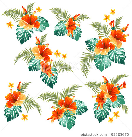 Beautiful tropical botanical illustration Beautiful tropical botanical illustration 93385670