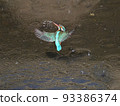 河邊的翠鳥。 93386374