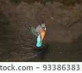 河邊的翠鳥。 93386383
