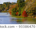 Autumn leaves of Bald cypress (Numasugi) 93386470