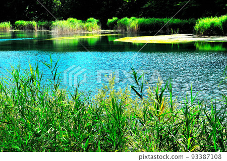 Landscape in nature Landscape in nature 93387108