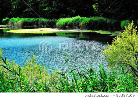 Landscape in nature Landscape in nature 93387109