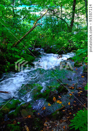 Landscape in nature 93387114